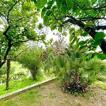 Proche Ajaccio Et Exclusive 2 A 10 Voyageurs Holiday home