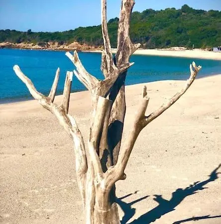 Proche Ajaccio Et Exclusive 2 A 10 Voyageurs * Bastelicaccia