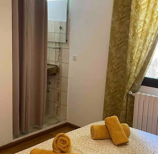 Proche Ajaccio Et Exclusive 2 A 10 Voyageurs * Bastelicaccia