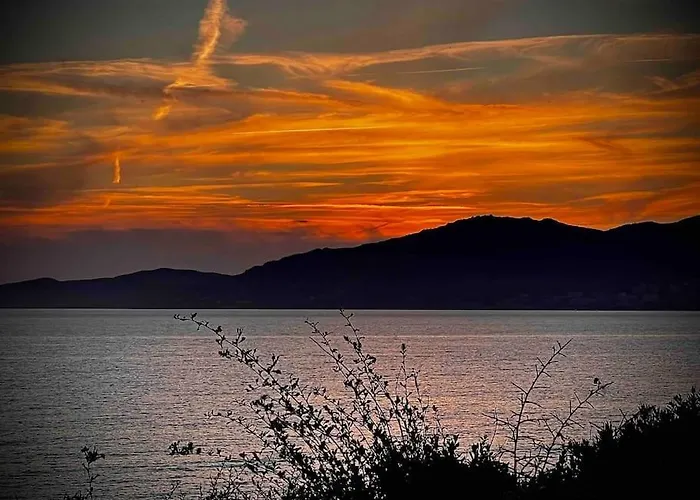Ferienhaus Proche Ajaccio Et Exclusive 2 A 10 Voyageurs