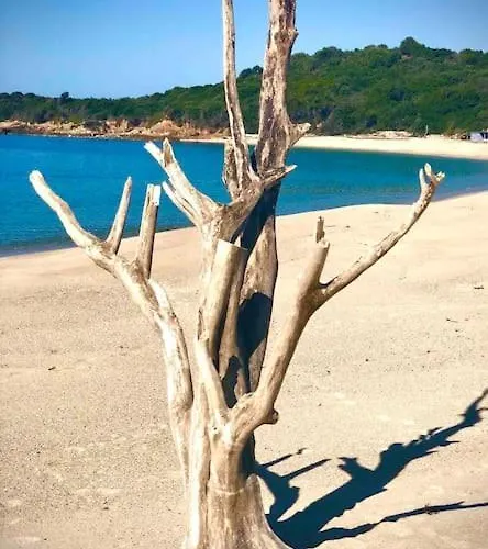 Proche Ajaccio Et Exclusive 2 A 10 Voyageurs * Bastelicaccia